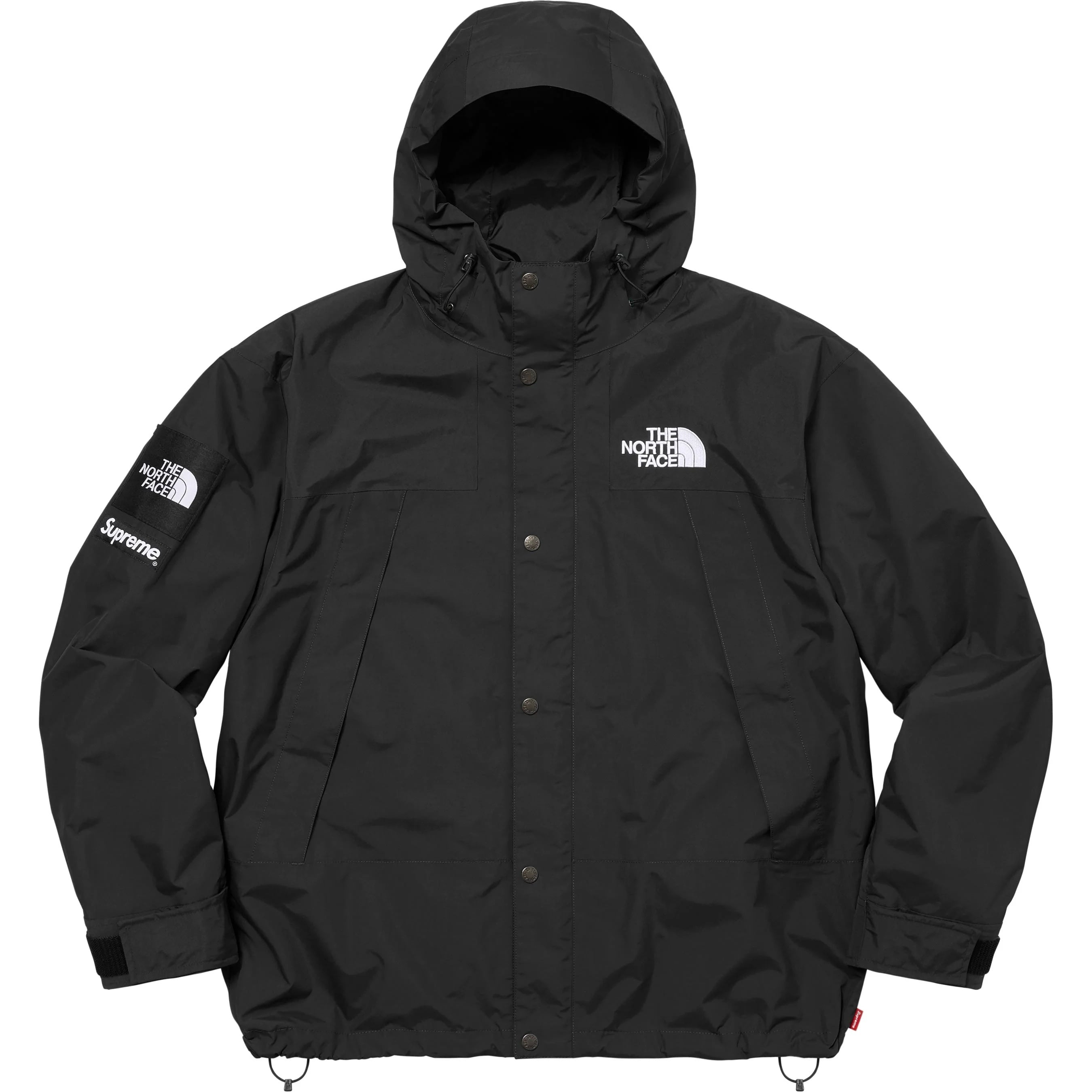 Supreme®/The North Face® Mountain Jacket view 9